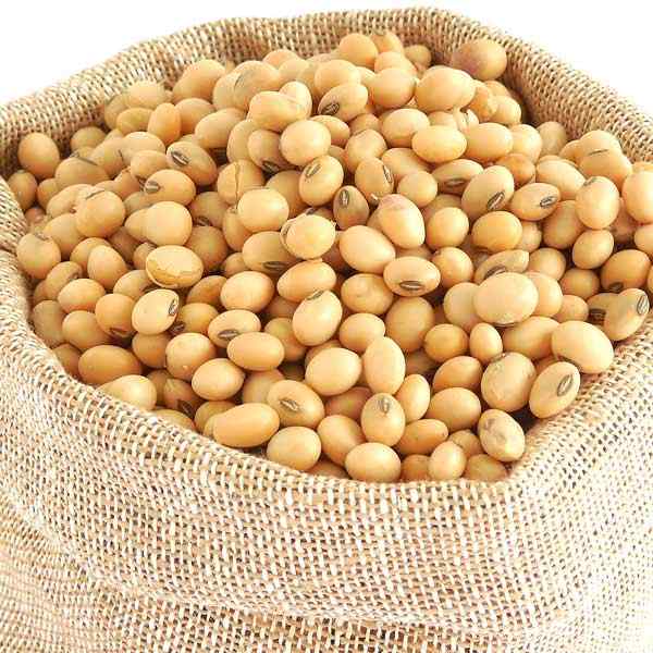 SOYBEAN NON GMO HUMAN CONSUMPTION.jpg