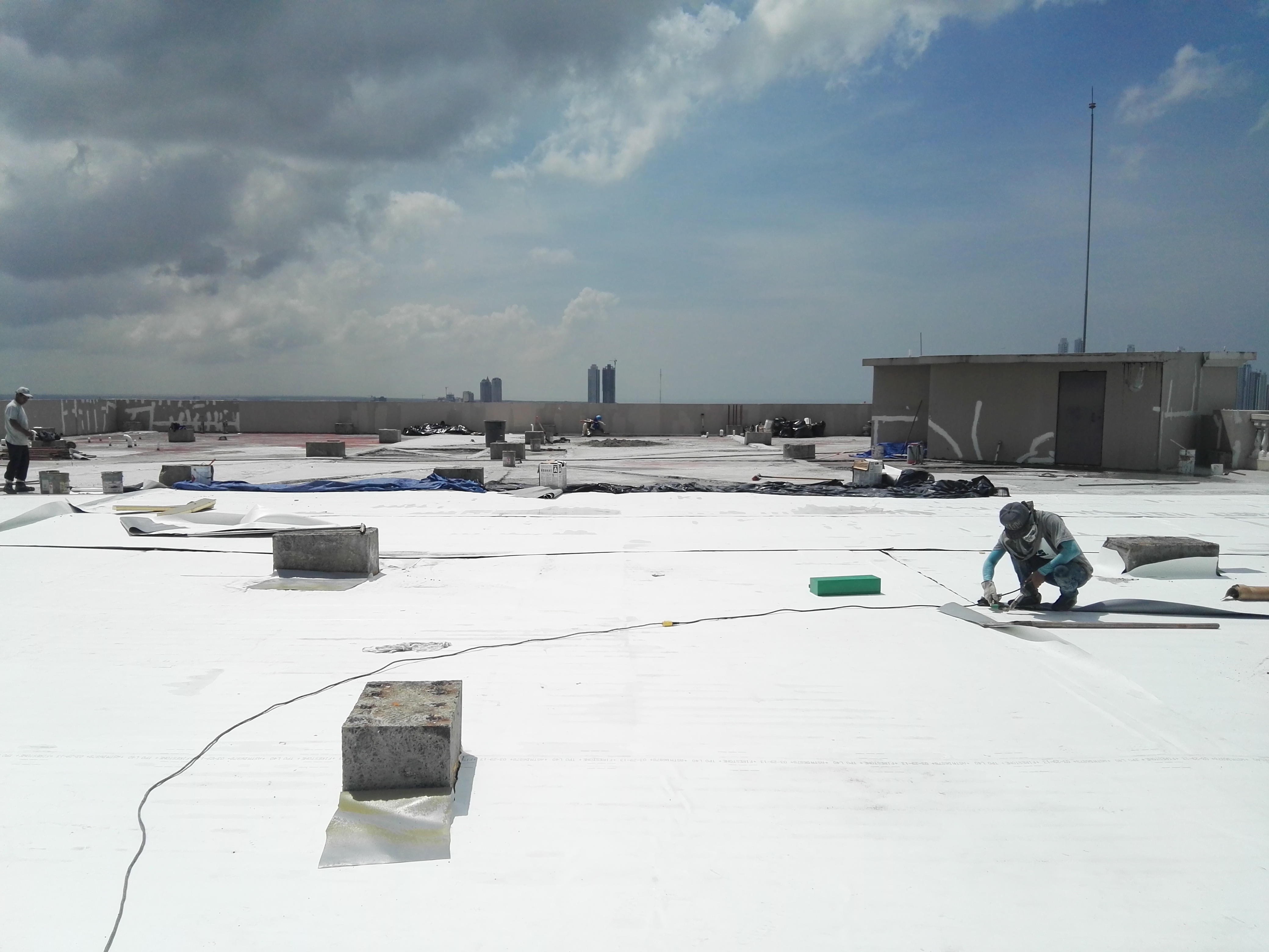 ORGANO JUDICIAL 5.jpg