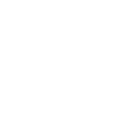 visa.png