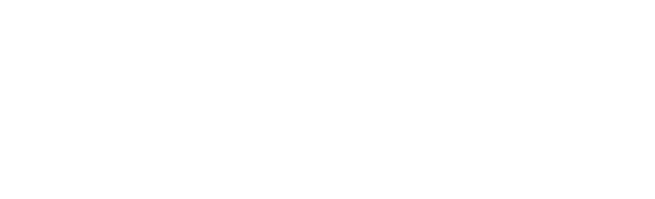 logo_SV_white (1) (2).png