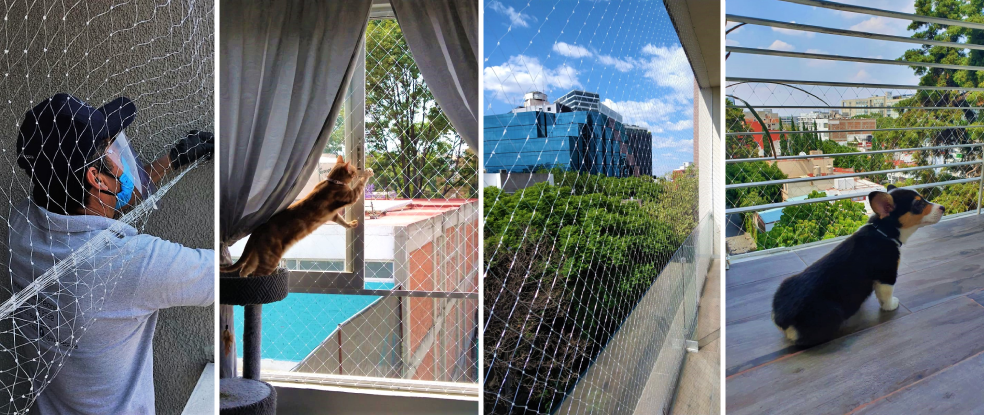 consultoria-para-emprendimientos-y-planes-de-negocio-clasico-imagen-5 (1).png