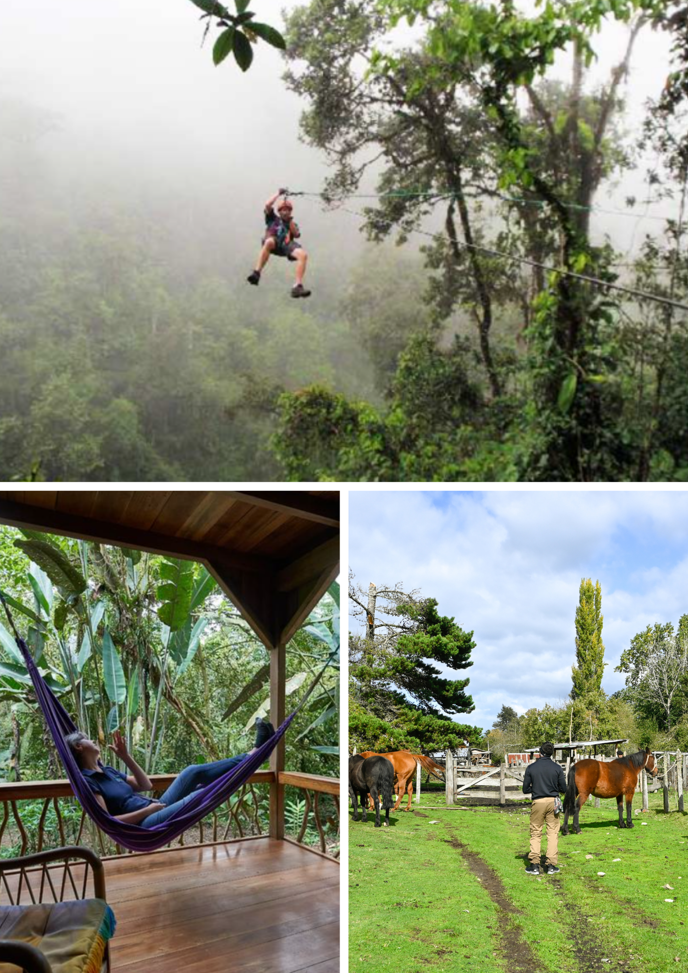 Diseño sin título (30).png