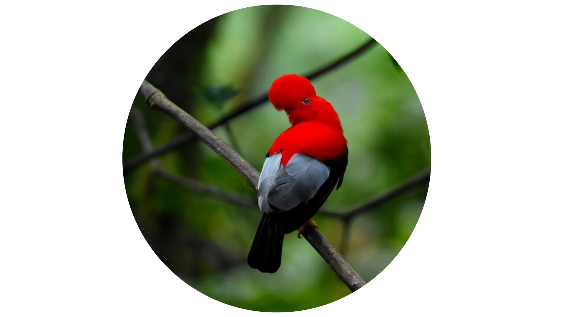 Diseño sin título (16).png