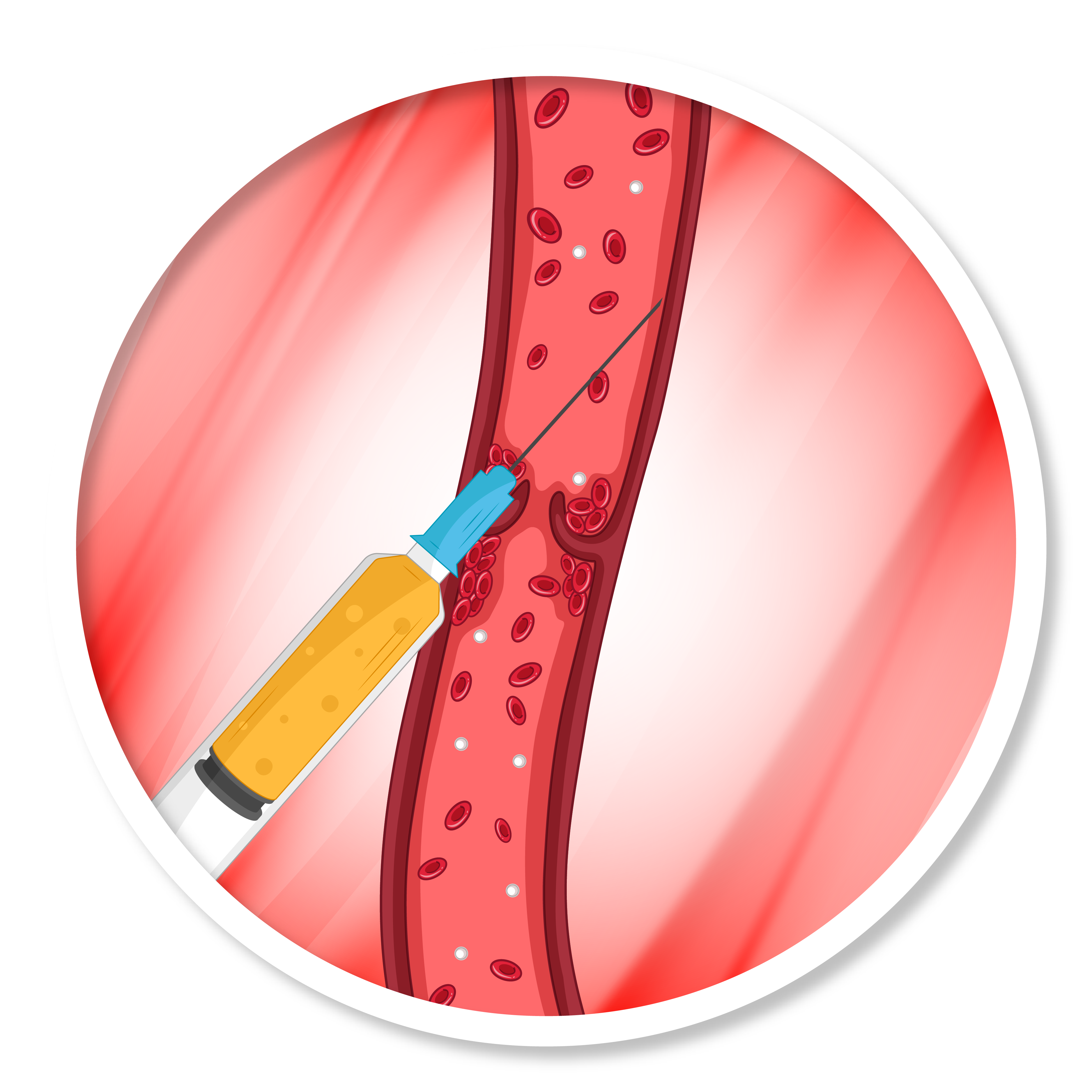 proceso felboterapia regenerativa_ -03.png