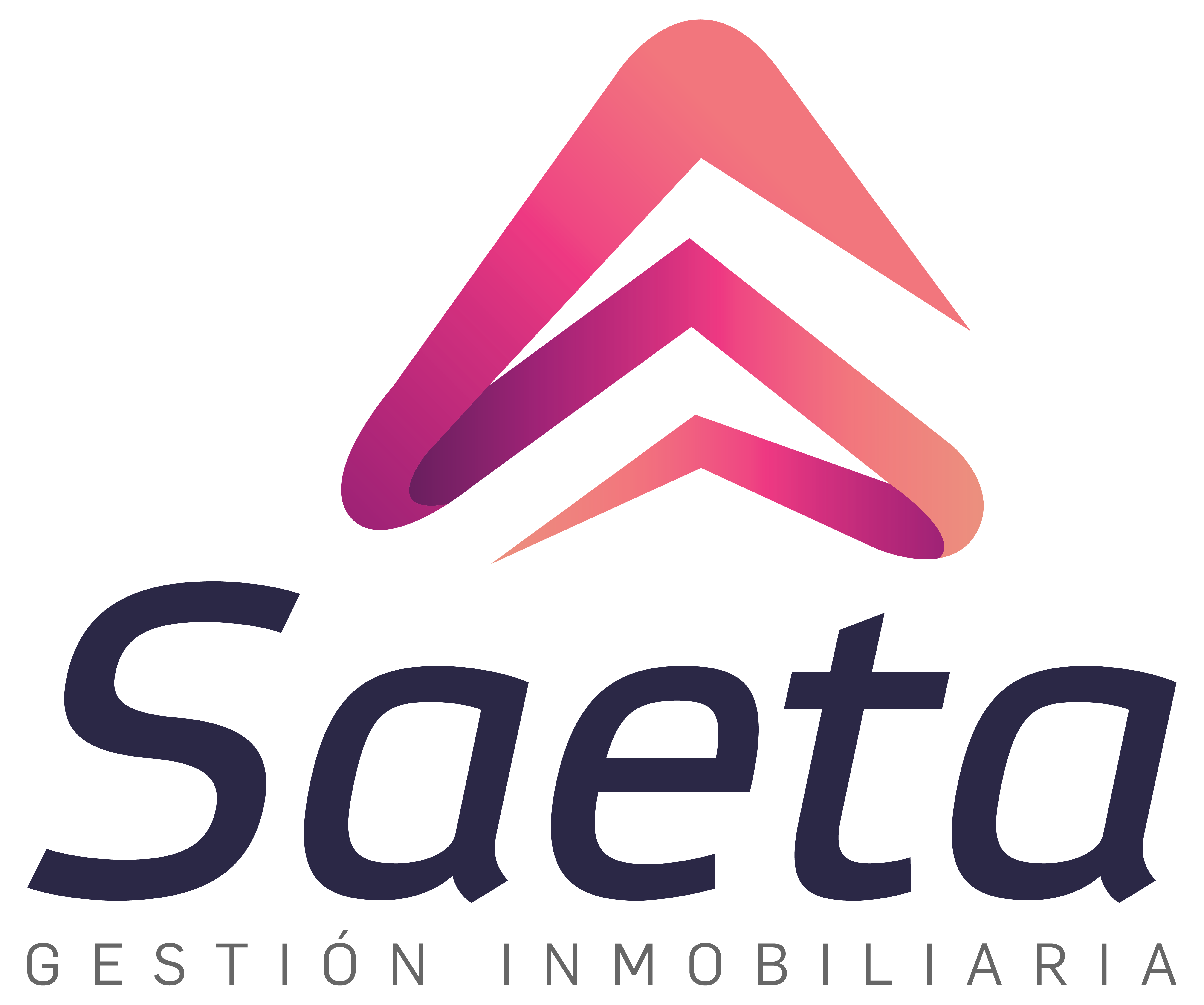 ng_saeta_2020_PNG.png