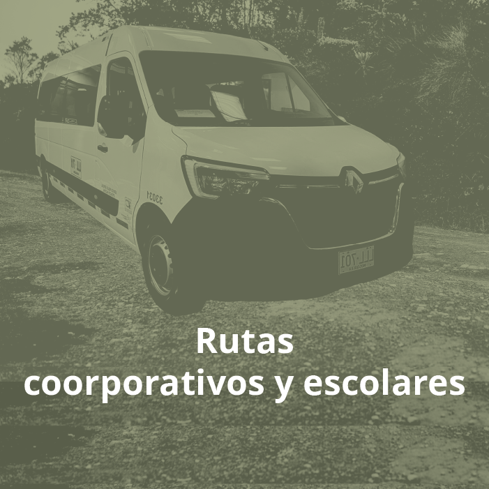 8Mesa de trabajo 3 copia.png