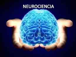 neurociencias.jpg