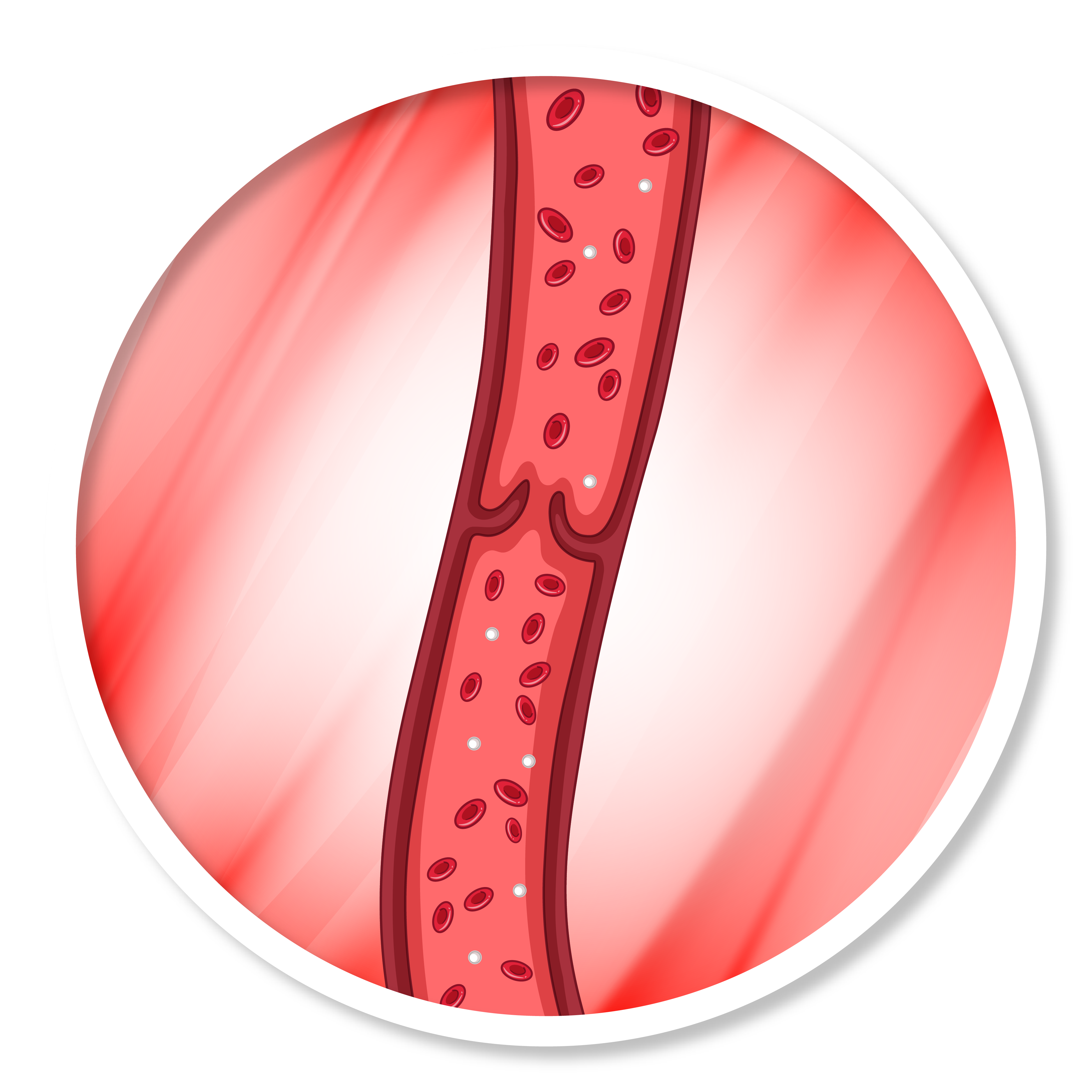 proceso felboterapia regenerativa-04.png