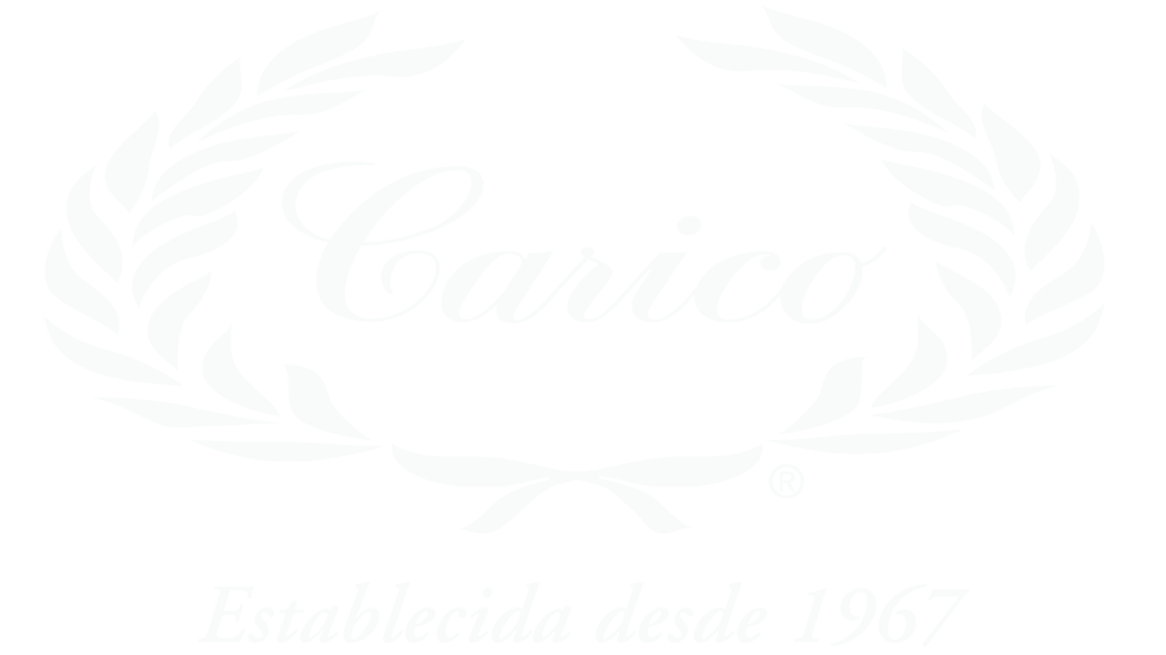 Logo blanco.png