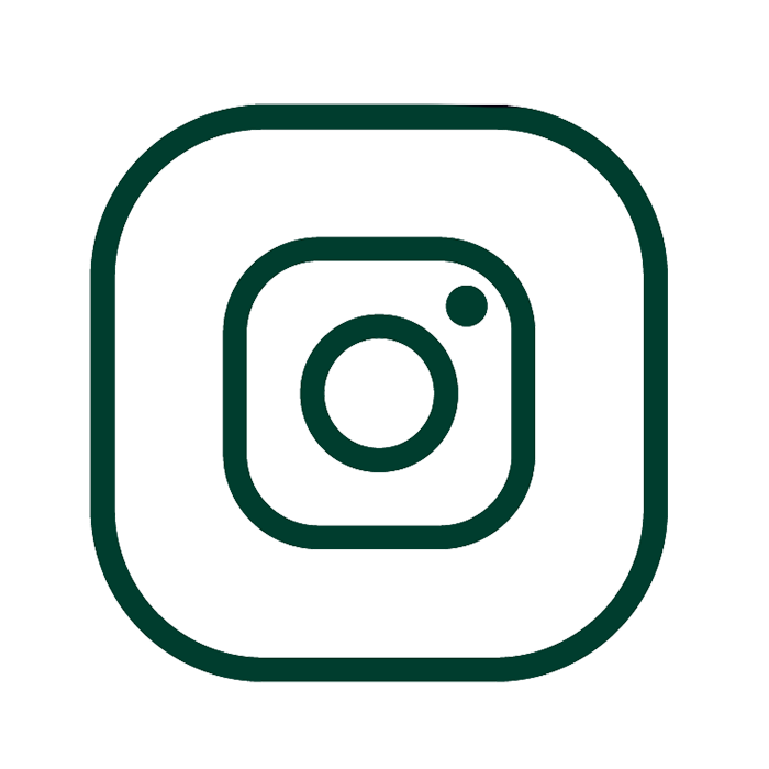 VidaNovaInstagram.png