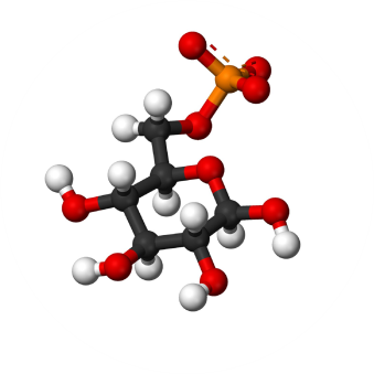 glucosa.png