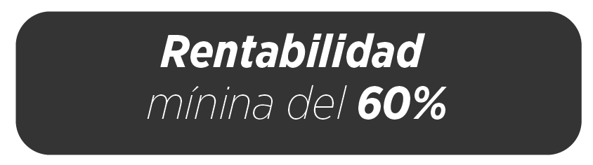 Mesa de trabajo 33 copia.png