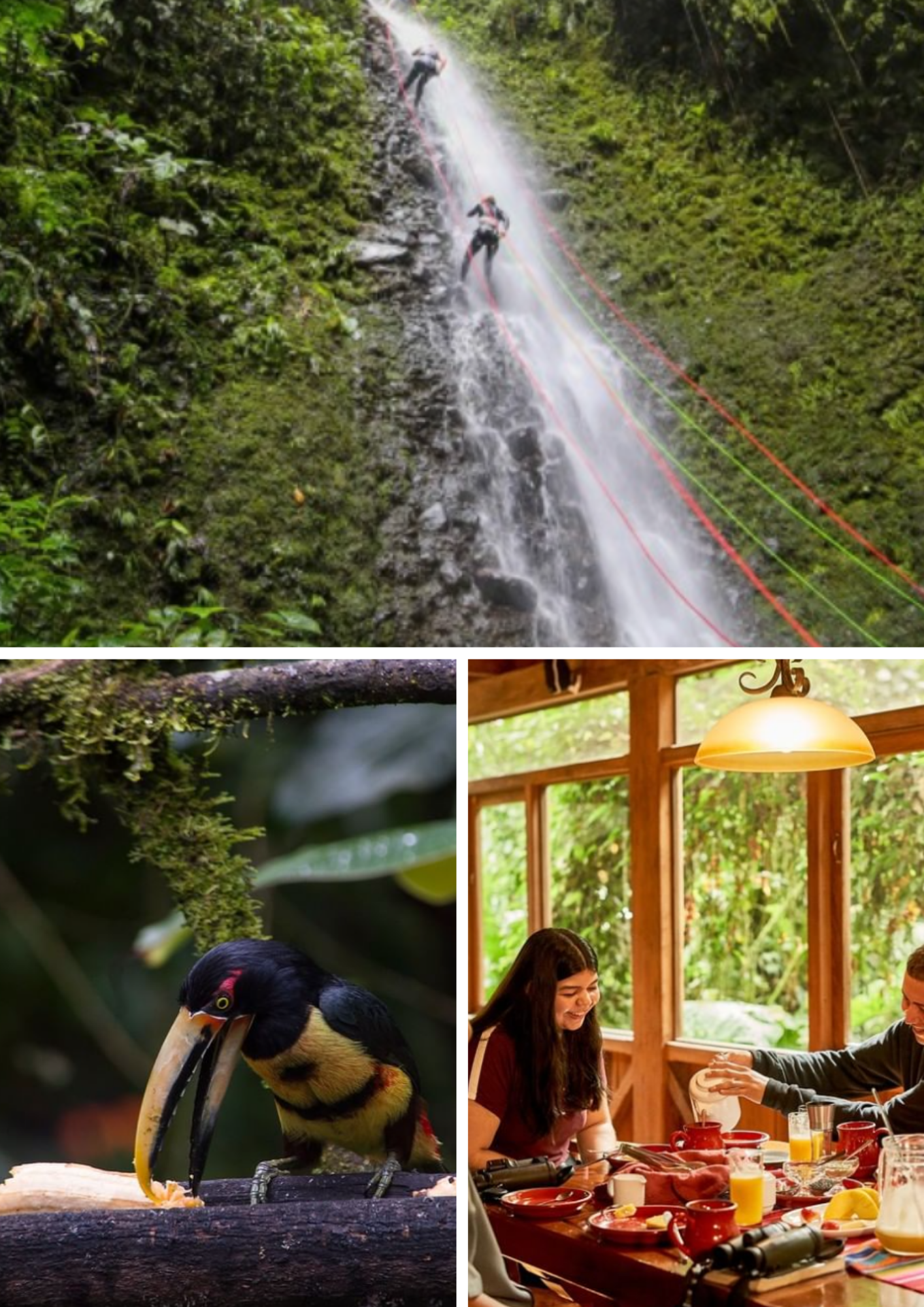 Diseño sin título (33).png