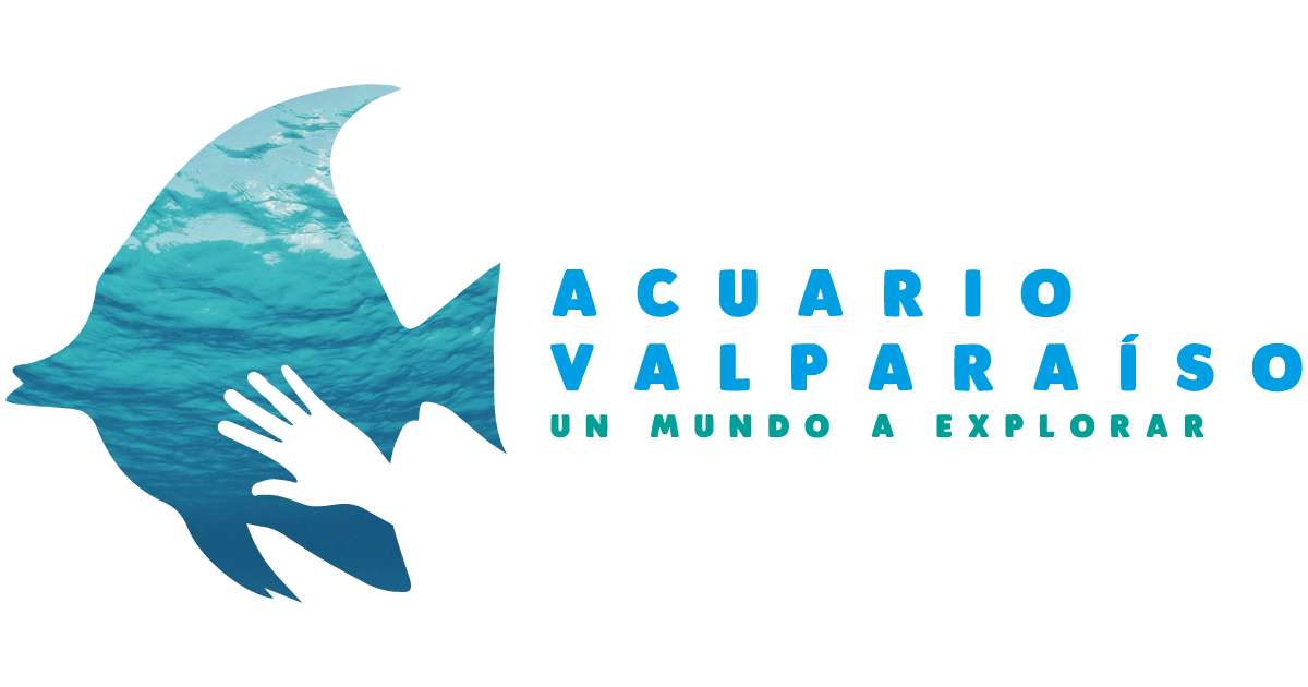 Logo Acuario Valparaiso.png