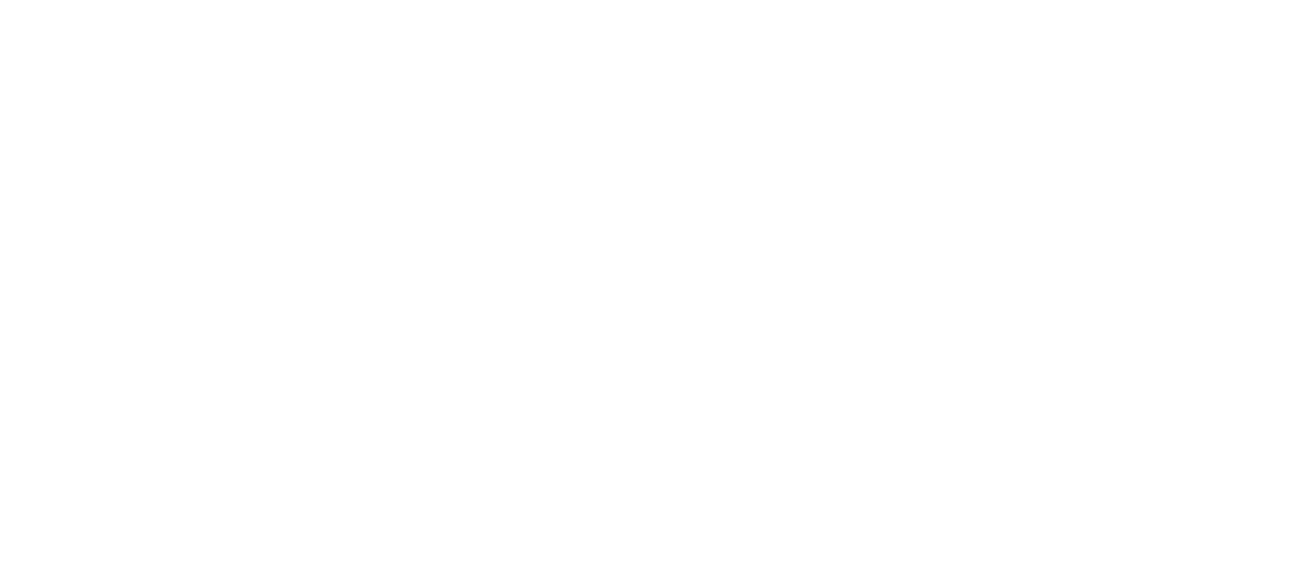 logo blanco png.png