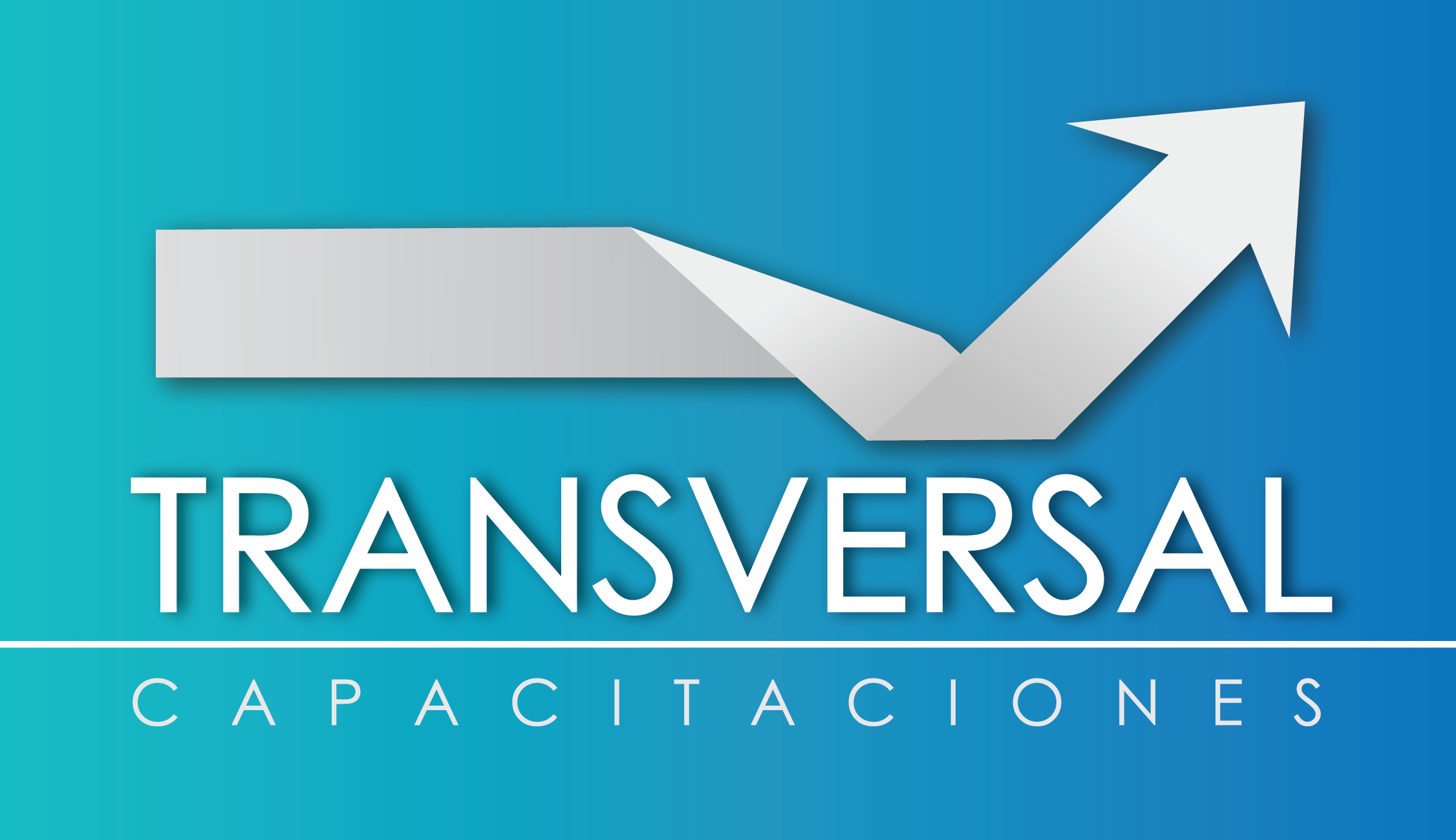 LOGO TRANSVERSAL OK.png