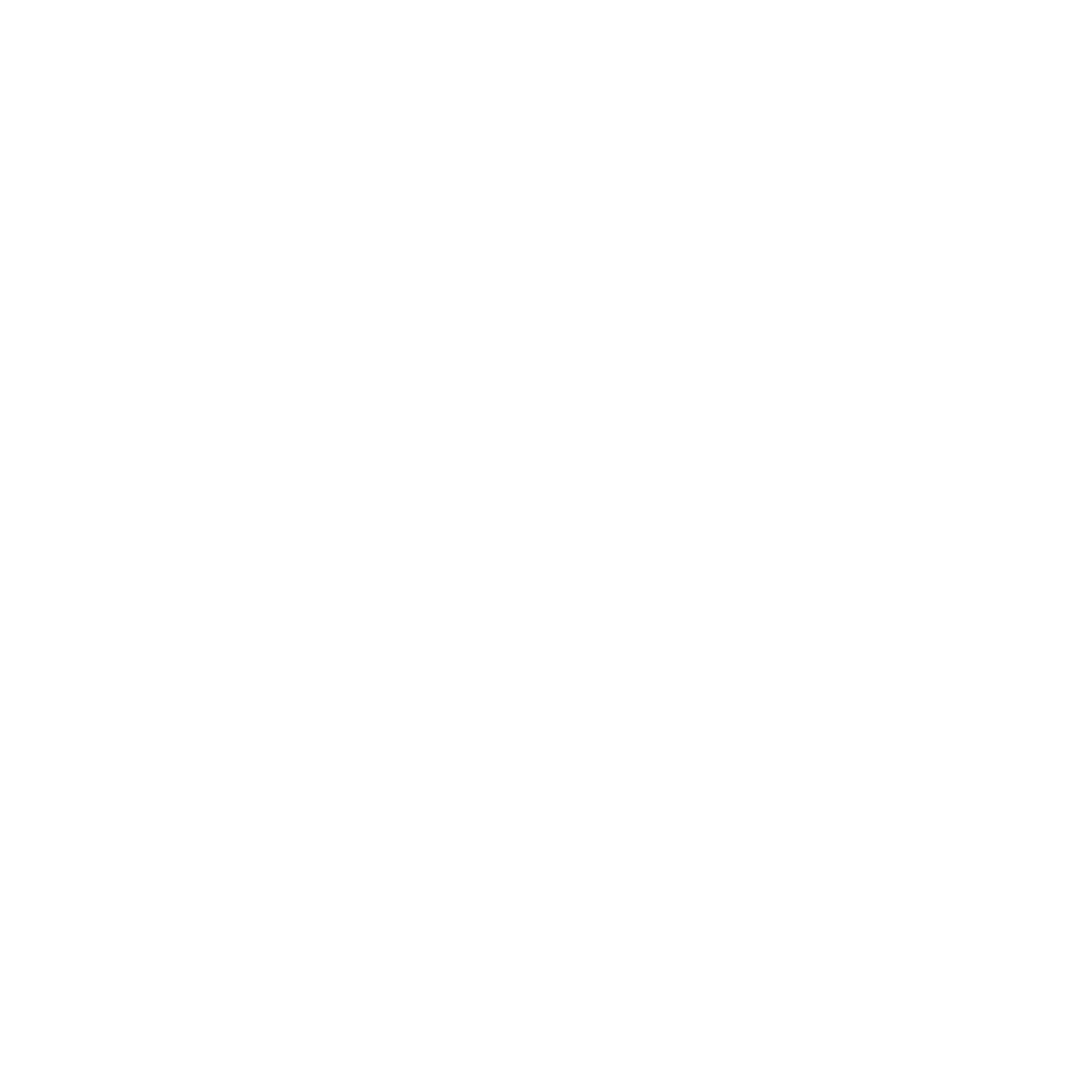 Logo en Blanco PNG-01.png