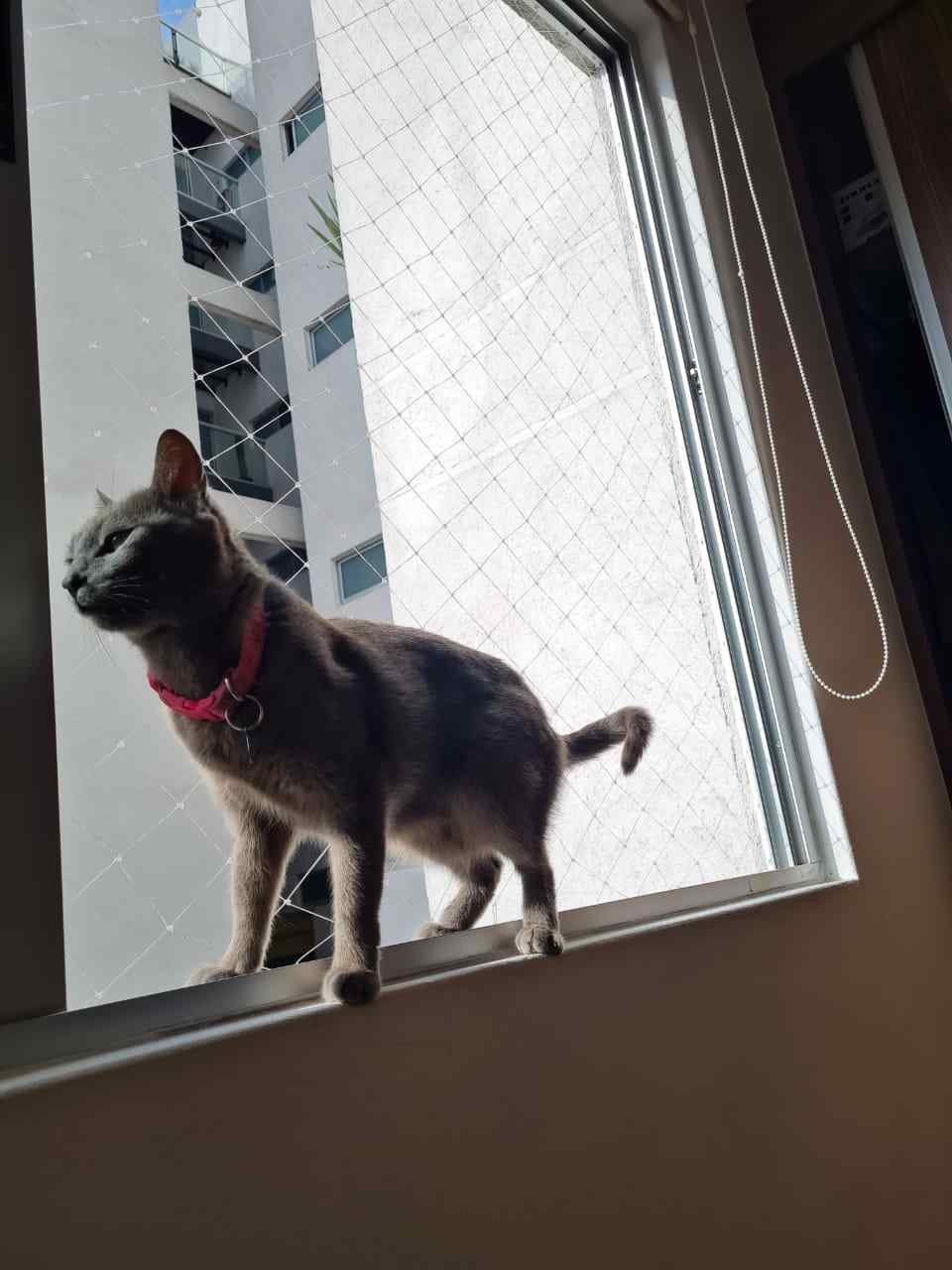 WhatsApp Image 2021-07-01 at 6.10.11 PM (2).jpeg