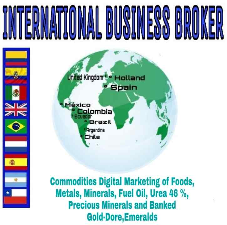 LOGO INSTITUCIONAL DEL BROKER.jpg
