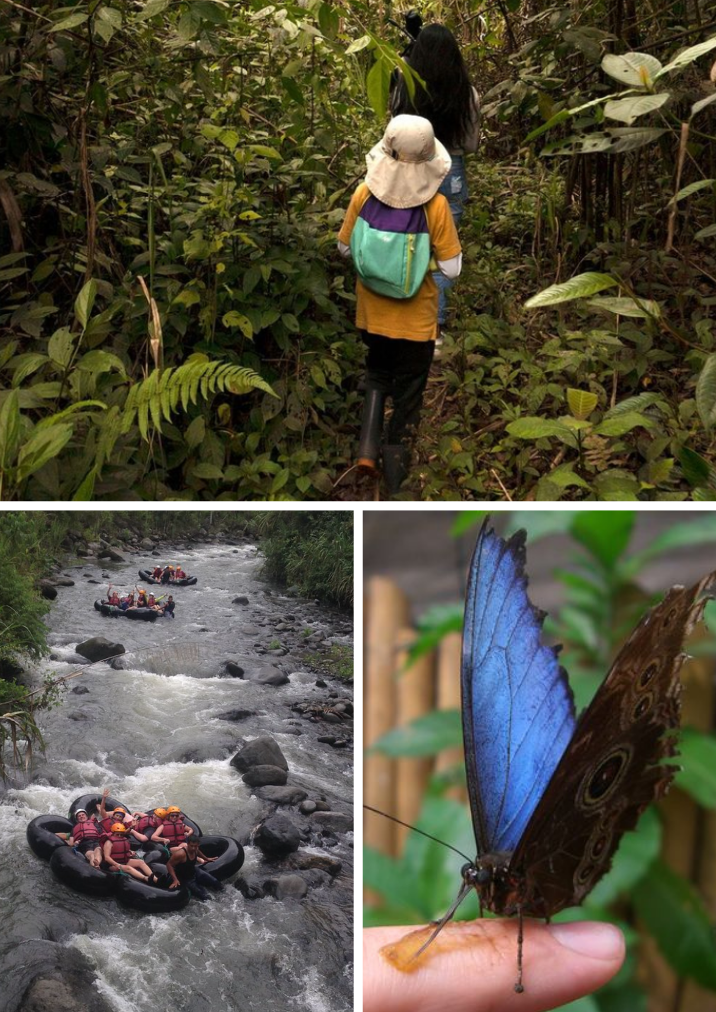 Diseño sin título (28).png