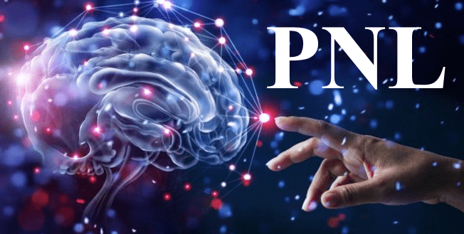 PNL-canvas.png