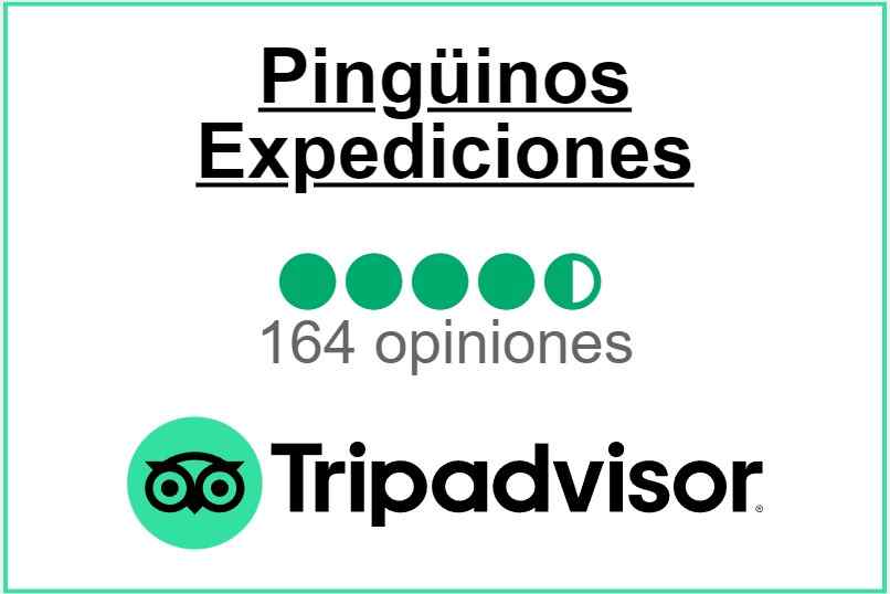 Captura de pantalla 2022-12-18 124345.jpg
