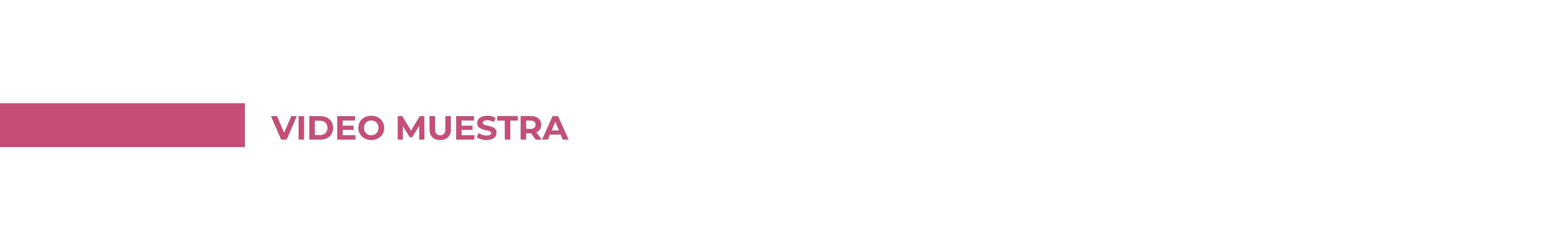 Landing udemy-04.jpg