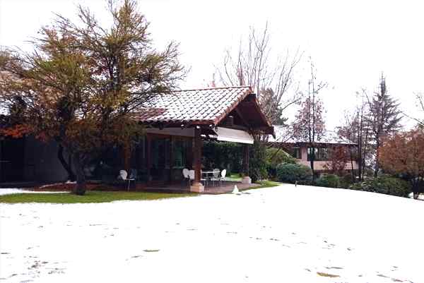 VidaNova-Nevado.jpg