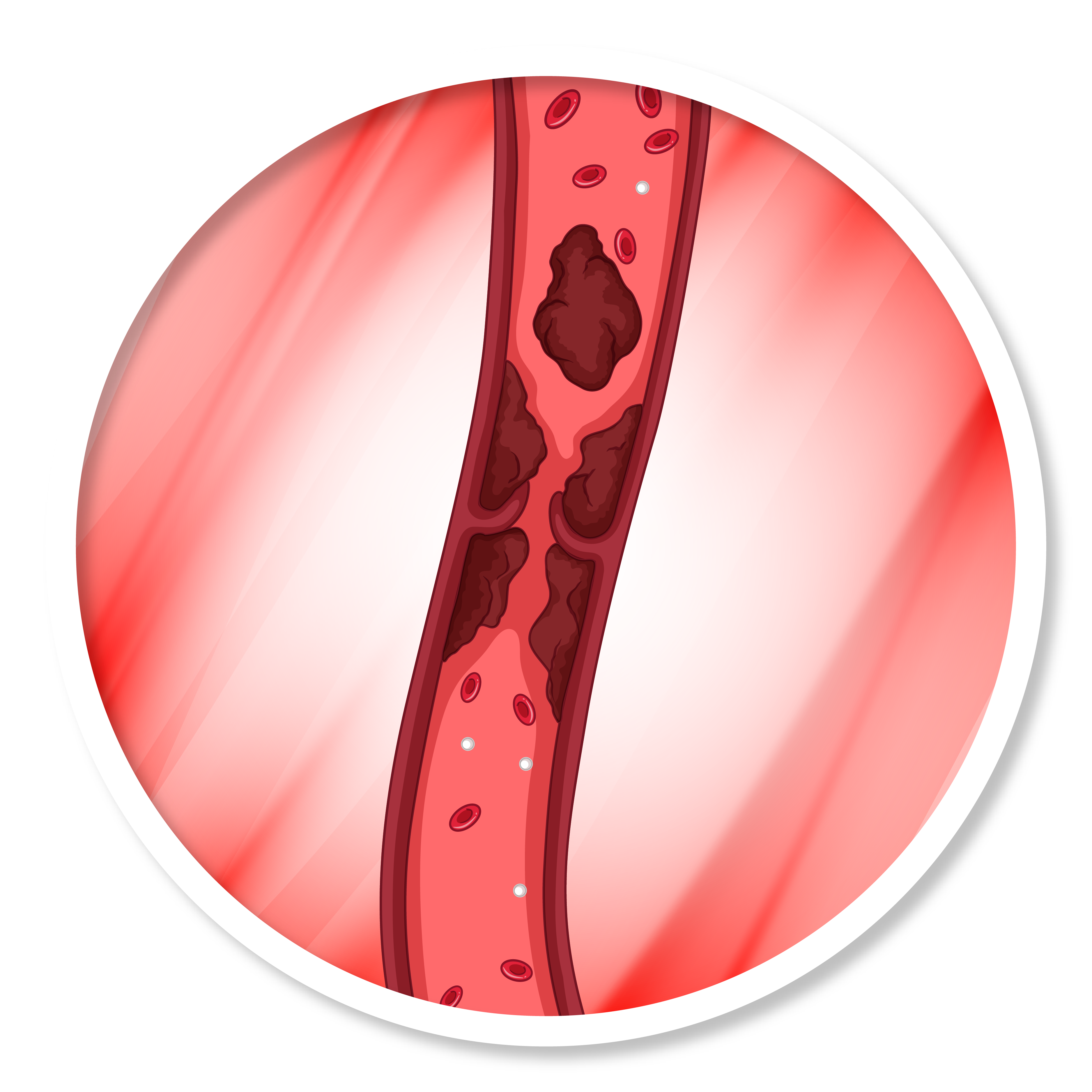 proceso felboterapia regenerativa-01.png