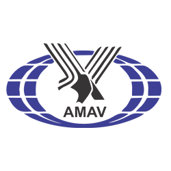 AMAV.png