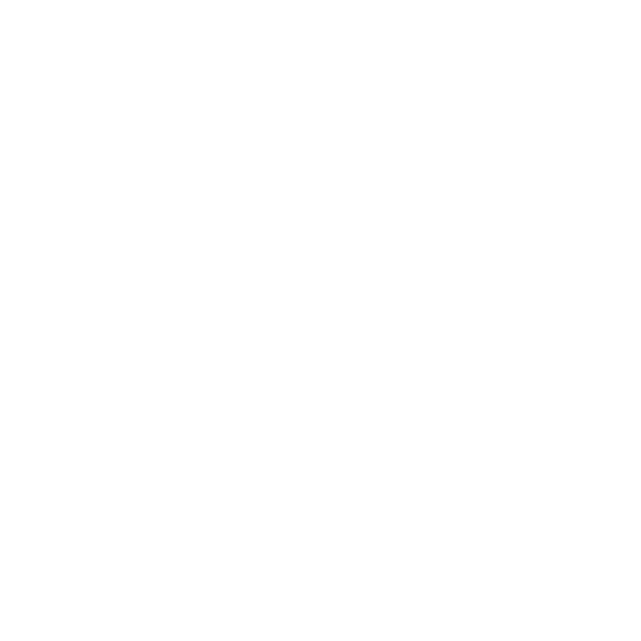 QUIENES_SOMOS_ICON_Mesa de trabajo 1.png