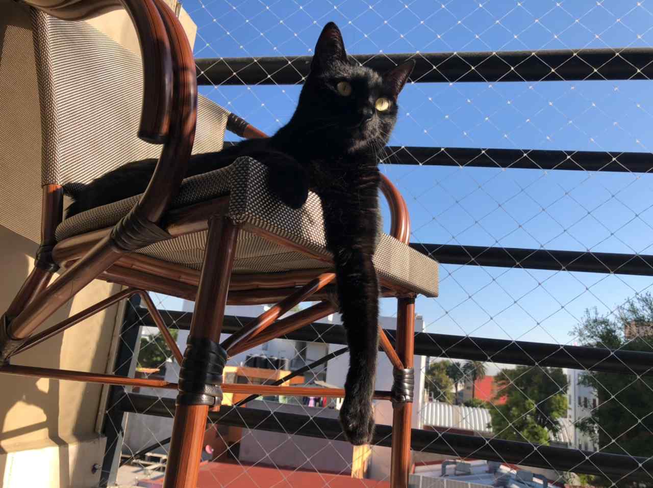 WhatsApp Image 2022-03-31 at 1.27.08 PM.jpeg