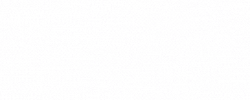 logo-check-035-anima2.gif