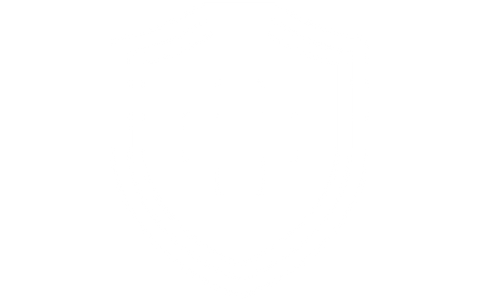 seguro medico.png
